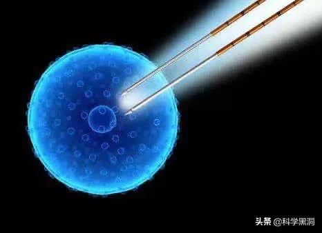 日本批准首例人兽杂交胚胎实验<strong></p>
<p>人与兽杂交</strong>，这是科学的进步还是对人类伦理的挑战？