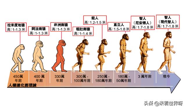 生物进化论是不是错误的？为什么科学界找不到人类的始祖？