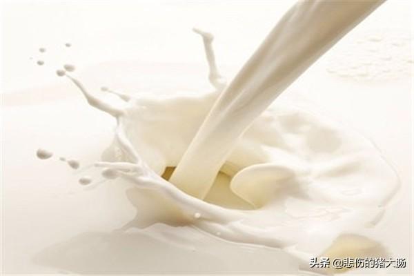 哪个牌子的羊奶粉好，怎么挑选适合自己的羊奶粉？